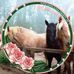 Patti Crandall - Facebook