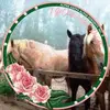 Patti Crandall - @patti.crandall - TikTok