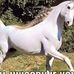 Patti Crandall - Facebook