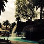 Pat Crane - @pat.crane.125 - Instagram