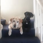 Pat Curran - @pat.curran.319 - Instagram