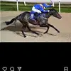 patcurran263 - @patcurran263 - TikTok