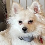 Patricia Oteri Danner - @patti.danner - Instagram