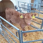 Patrick Danner - @farmpat82 - Instagram