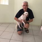 Pat D'Arcy - @patdcanwin5519 - Instagram