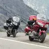 Pat D'Arcy - @pat.darcy2 - TikTok