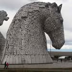 Pat DArcy - @pat.darcy.98 - Instagram