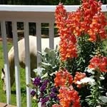 Pat Daugherty - @pat_w_daugherty - Instagram
