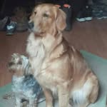 Pat Henley Daugherty - @pat.daugherty - Instagram