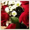 stacy morsch970 - @patday17 - TikTok