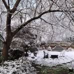 Pat Dearing - Facebook