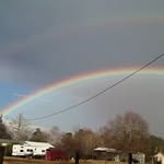Pat Denison Beirne - @patchintx - Instagram