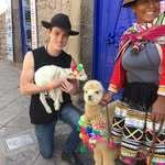 Patrick Denison - @englishwithpatrick - Instagram
