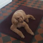 Pat Denney - @denney7537 - Instagram