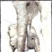 Pat Denney - Facebook