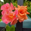 Pat Diamond - @pat.diamond6 - TikTok