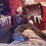 Pat Dobson - @dobbobrown - Instagram