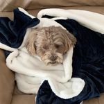 Pat Dobson - @pat.dobson.716 - Instagram