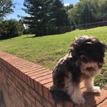 Pat Dobson-Raper - @psrpattycakes - Instagram
