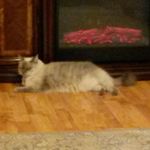 Pat Arnold Dockery - @patarnolddockery - Instagram