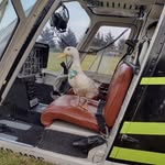 @pat_donald08 - Instagram