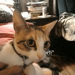 pat donald - @patdonald60 - Instagram