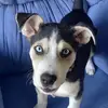 patdonaldson779 - @patdonaldson779 - TikTok
