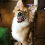 Pat Donovan - @pat.rob.don - Instagram