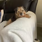 Pat Donovan - @patdonovan1200 - Instagram