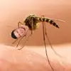 Pat.theDaddy - @patrickdotson01 - TikTok