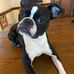 Pat Downing - Facebook