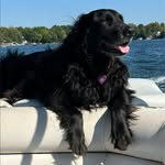 Pat Pattow Downing - @patsypattow - Instagram