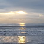 Pat Doyle - @patdoyle6 - Instagram