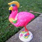Pat Drake - @patdrake3633 - Instagram