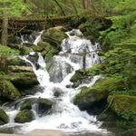 Pat Drake - @pat.drake.75 - Instagram