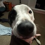 Pat Draper - @patdraper444 - Instagram