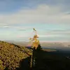 Patrice Draper - @patricedraper - TikTok