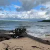 patrickdraper46 - @patrickdraper46 - TikTok