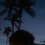 Pat Driscoll - @patrick.dris - Instagram