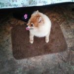 patdugan - @patdugan58 - Instagram