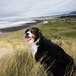 Pat Durkin - @pdsligo - Instagram