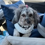 Pat Durkin - @orioles03 - Instagram
