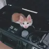 patience_eastman - @patience_eastman - TikTok
