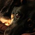 Patrick Eastman - @peneastman - Instagram