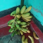 Nana pateger - @pategernana - Instagram