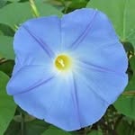 Sharon Pat Elkins - @sharon_elkins - Instagram