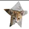 pati - @patieller0 - TikTok