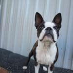 Pat Elliott - @pat.elliott.5243 - Instagram