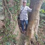 Pat Elliott - @pat.elliott.9250595 - Instagram