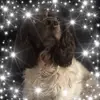 Pat Ellison987 - @patellison2 - TikTok